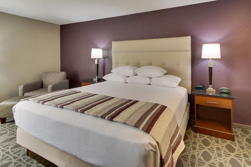 Deluxe Room, 1 King Bed, Accessible, Refrigerator & Microwave (Roll in Shower, Upper Floor) photo 2
