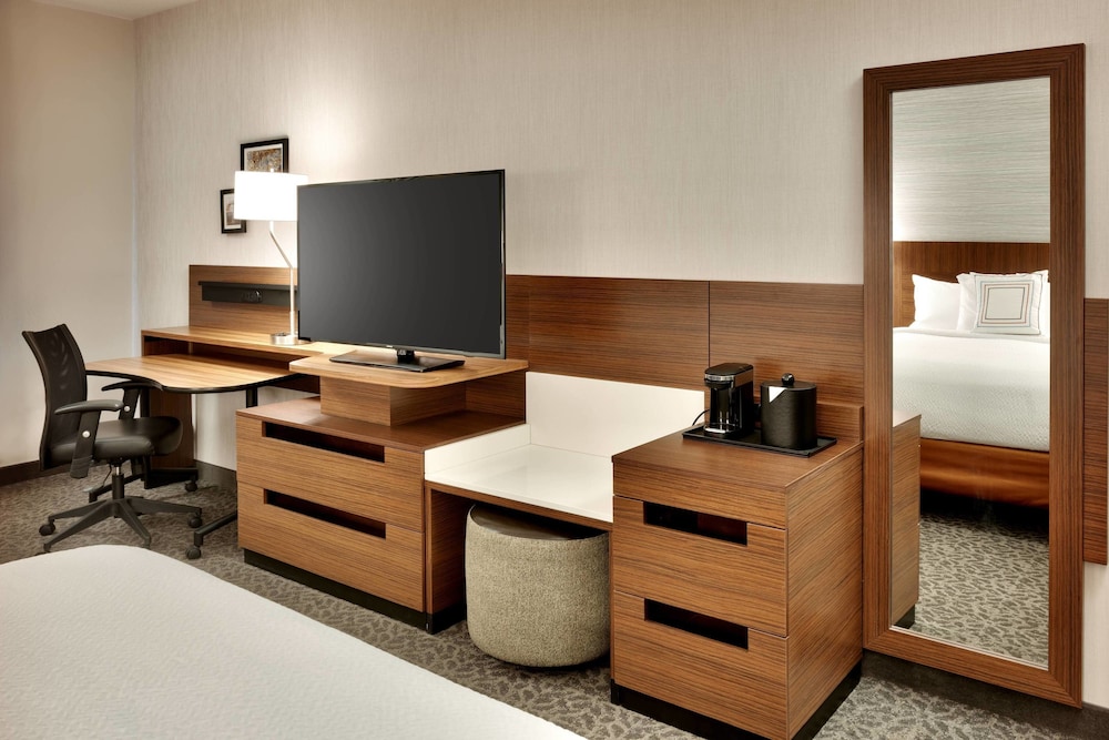 Room, 1 King Bed (Mobility Accessible, Roll-in Shower) photo 3