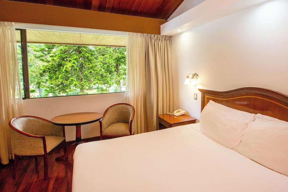 Standard Room, 1 King Bed, Non Smoking - Photo 3