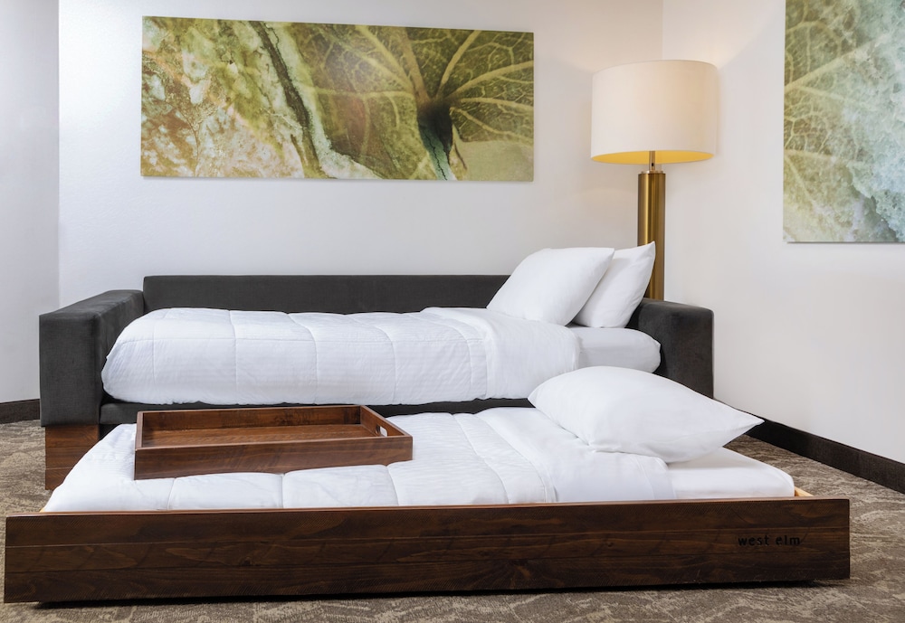 Studio, 1 King Bed with Sofa bed - Photo 3
