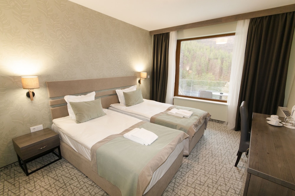 Deluxe Double or Twin Room photo 1
