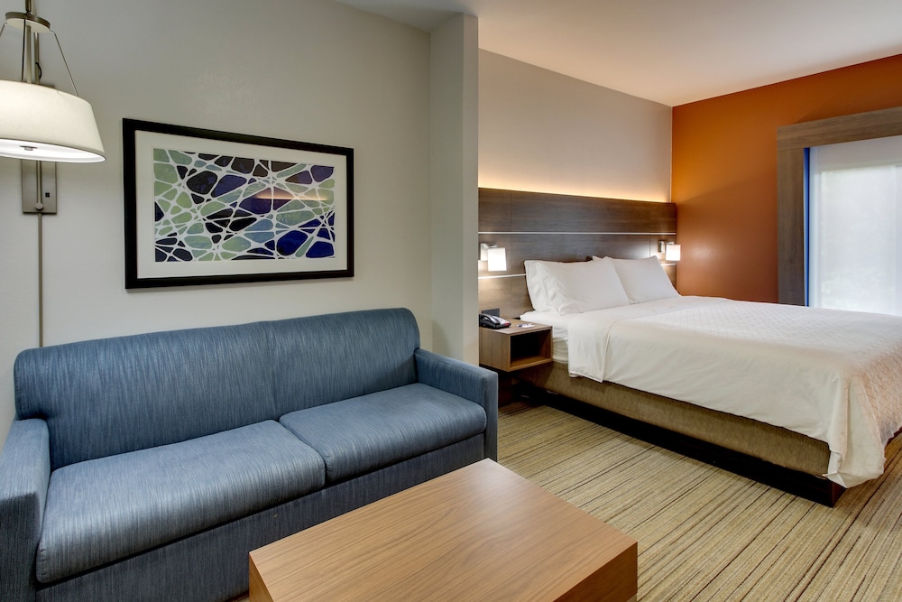 Suite, 1 King Bed with Sofa bed, Accessible (Communications, Accessible Tub) - Photo 1