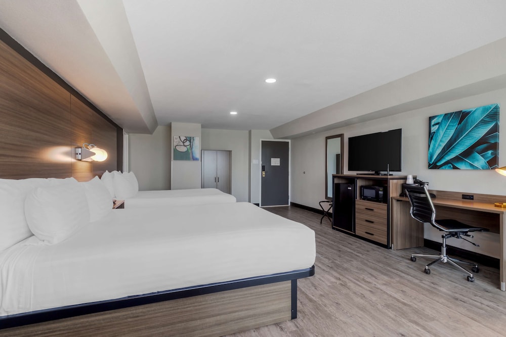 Standard Room, 2 Queen Beds, Non Smoking, Refrigerator & Microwave (Larger Room) - Photo 3