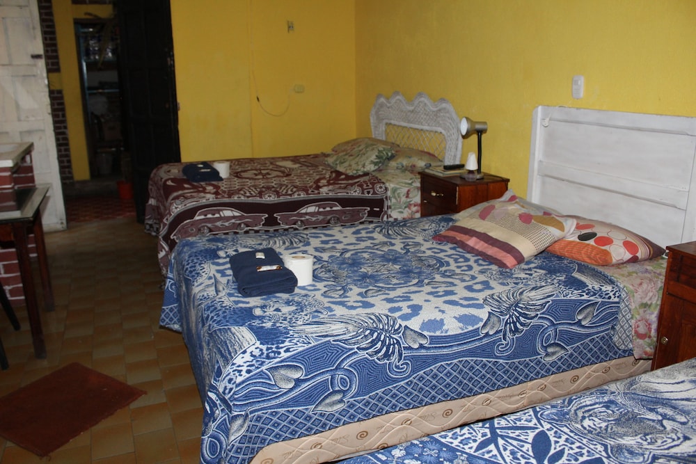 Comfort Apartment photo 2