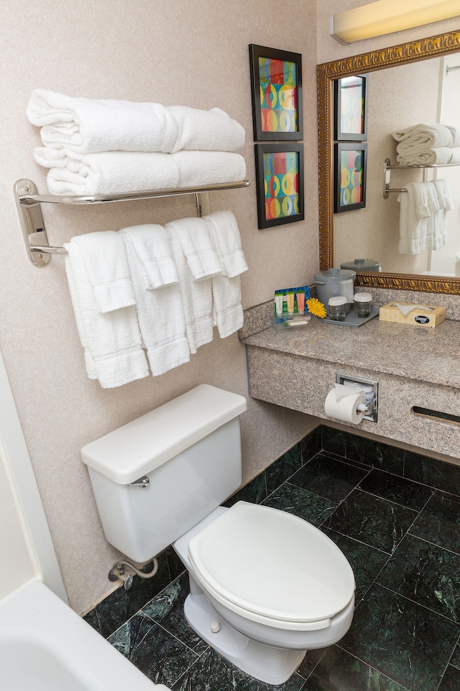 Suite, 1 King Bed, Non Smoking, Jetted Tub photo 3