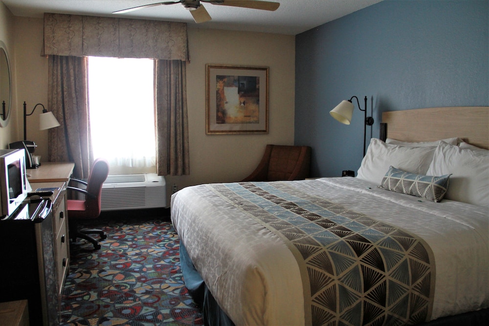 Room, 1 King Bed, Non Smoking - Photo 3