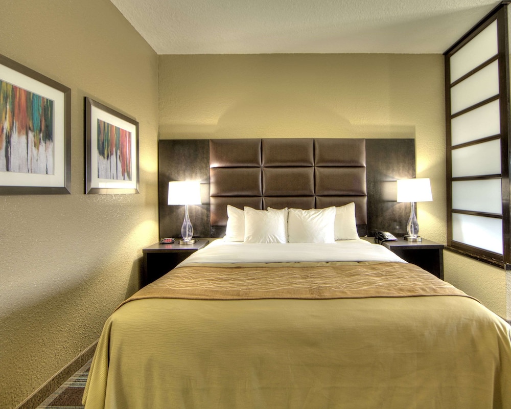 Suite, 1 King Bed, Non Smoking (Efficiency), photo 6