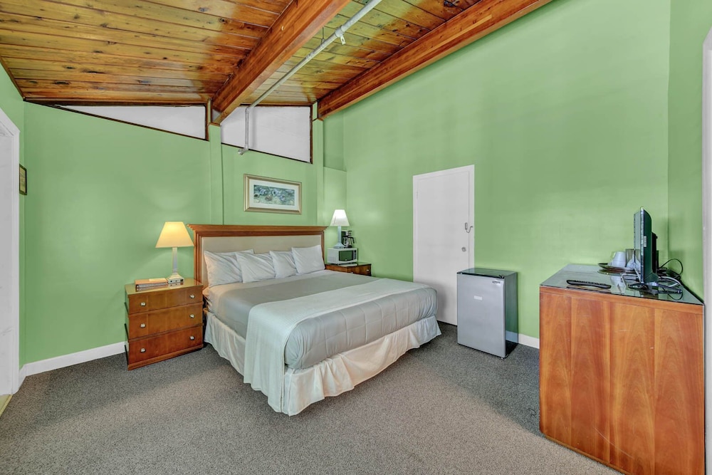 Standard Single Room, 1 King Bed, City View photo 1