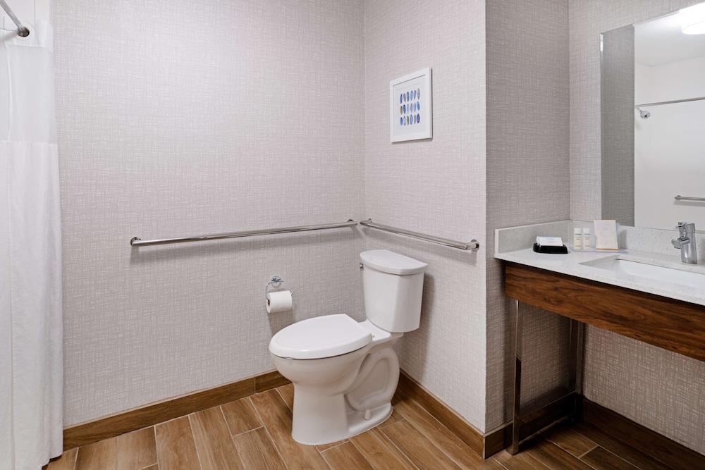 Classic Room, 1 King Bed, Accessible (Mobility Room - Roll In Shower) - Photo 9