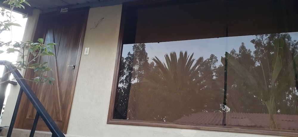 Ficus Suite photo 3