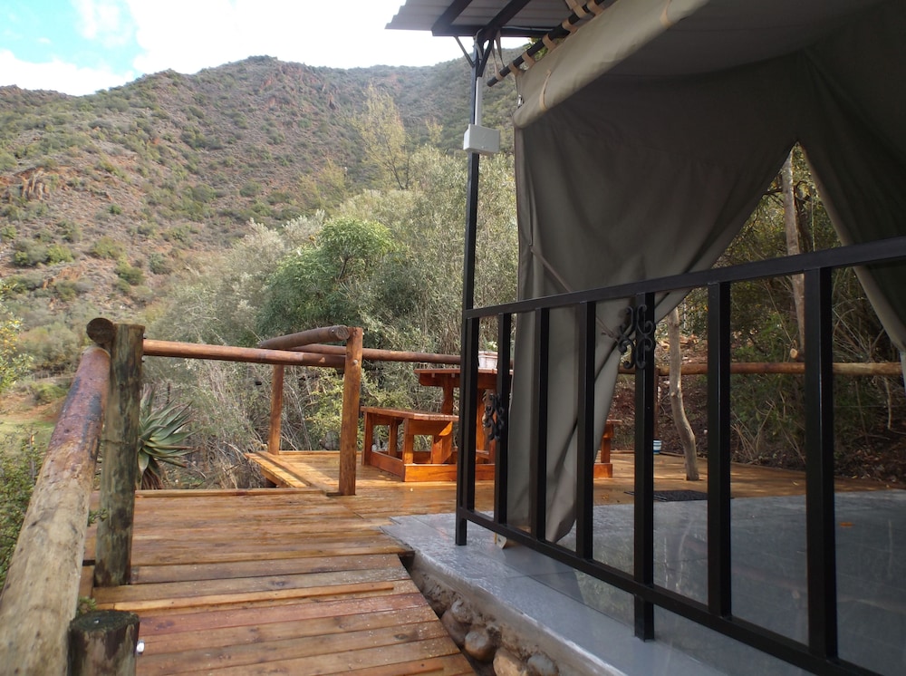 Basic Tent photo 3