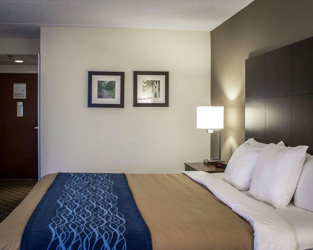 Room, 1 King Bed - Photo 3