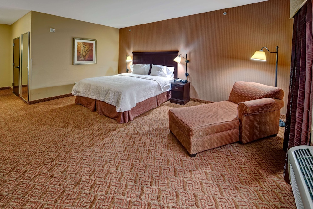 Room, 1 King Bed, Accessible - Photo 1