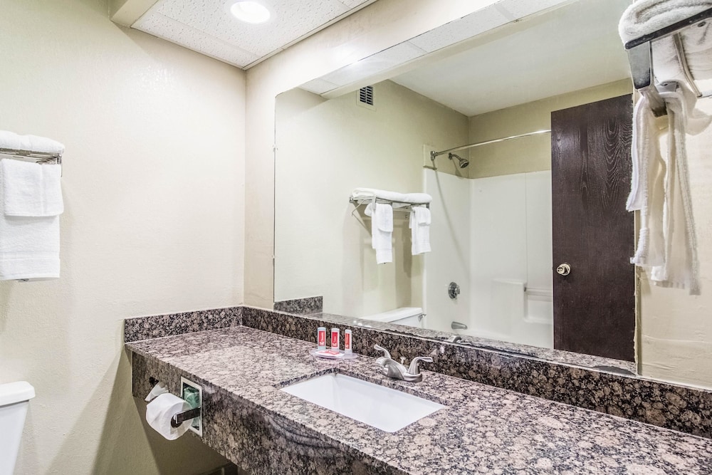 Standard Room, 2 Double Beds, Non Smoking (Pet Friendly) - Photo 4