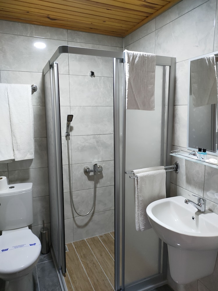 Double Room, Mountain View photo 3