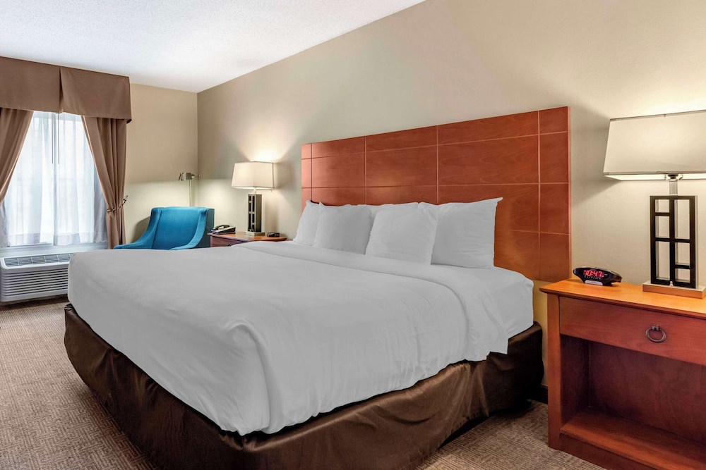 Suite, 1 King Bed with Sofa bed, Non Smoking, photo 6