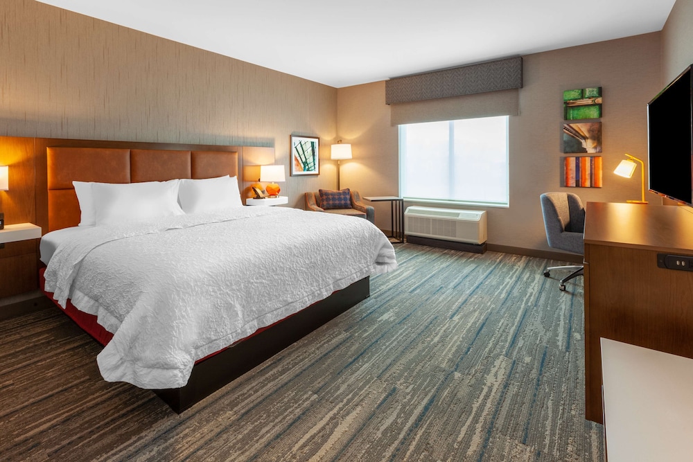 Room, 1 King Bed, Accessible, Bathtub (Mobility & Hearing) - Photo 1
