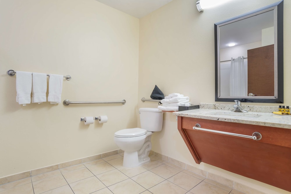 Suite, 1 King Bed, Accessible, Refrigerator & Microwave (with Sofabed) - Photo 4