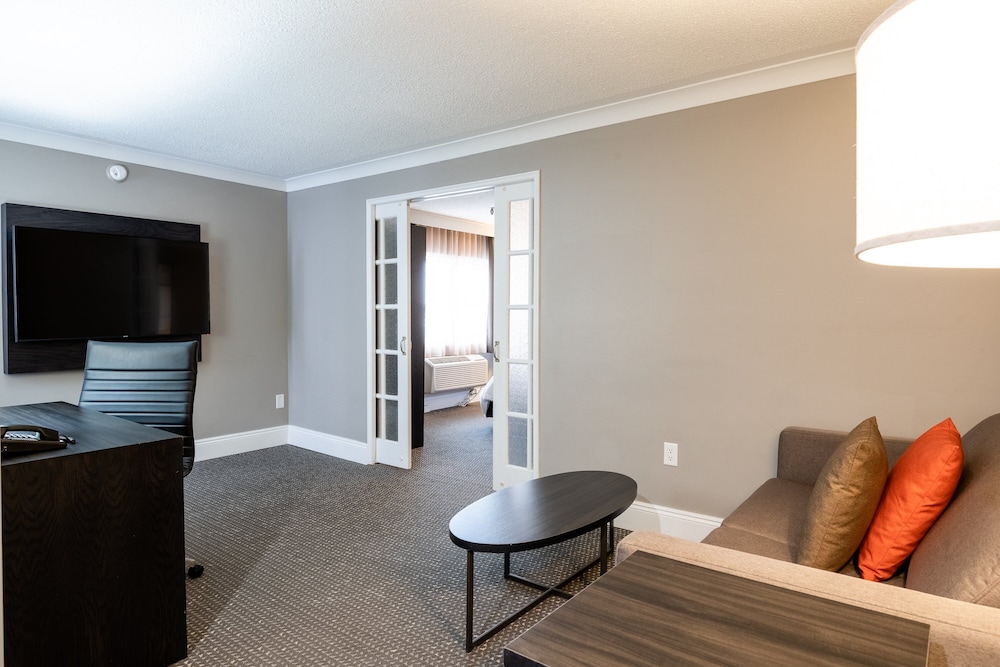 Suite, 1 Bedroom - Photo 5