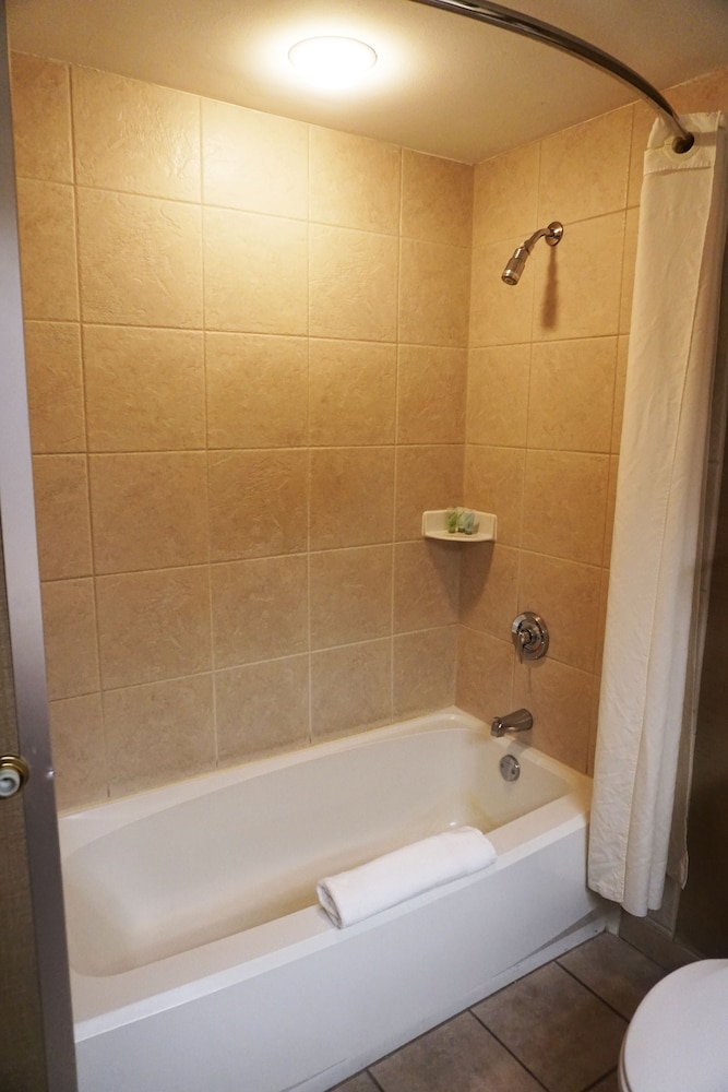 Deluxe Room with Two Queen Beds Gateway Arch River View photo 2