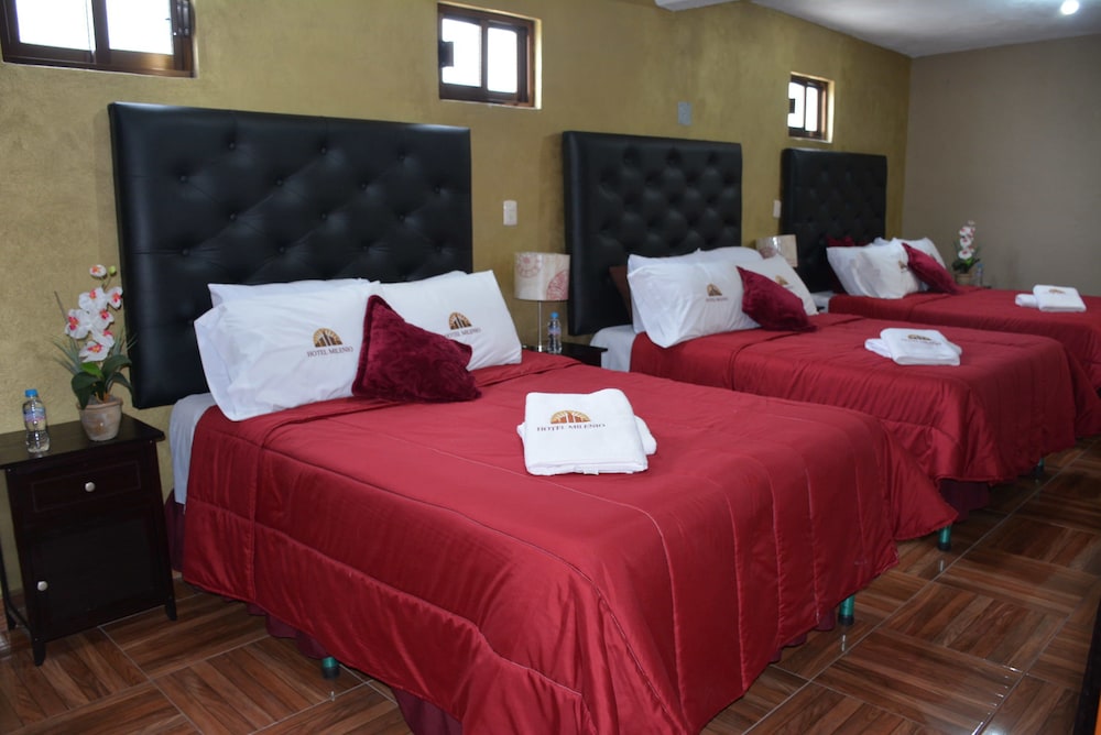 Triple Room photo 2