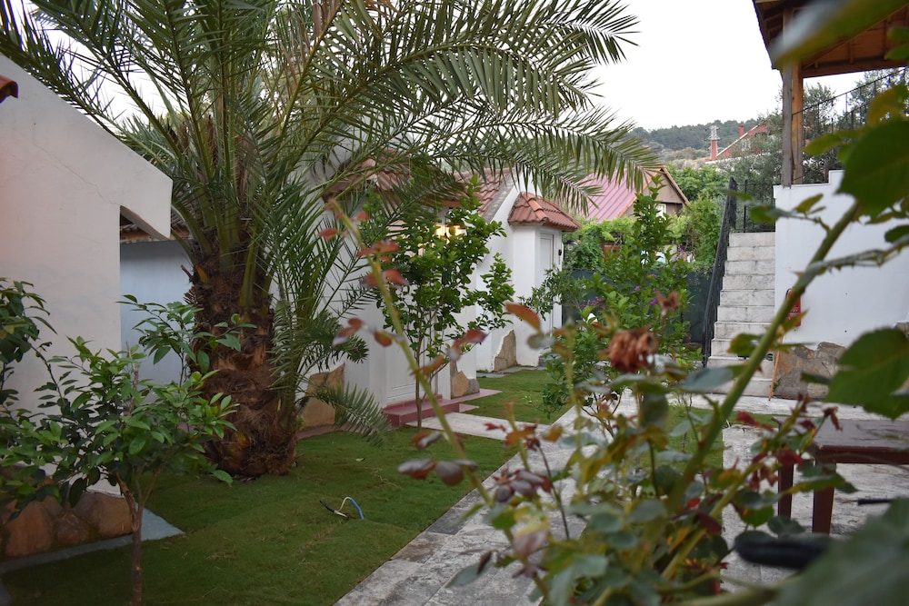 Family Bungalow photo 2