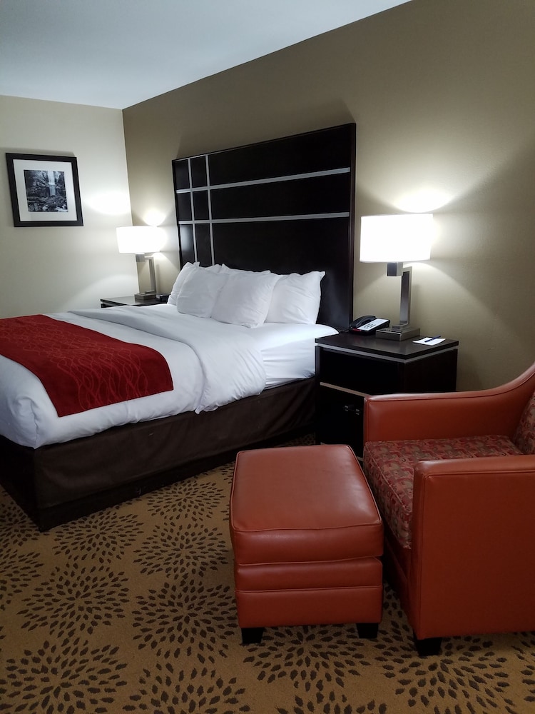 Standard Room, 1 King Bed, Non Smoking - Photo 4