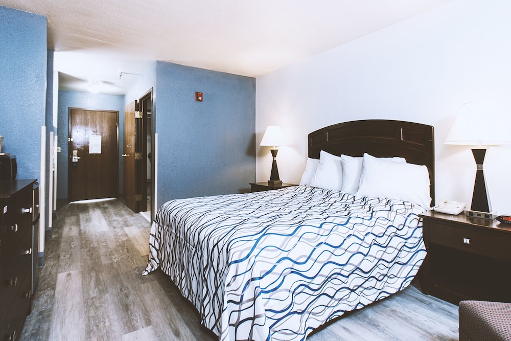 Standard Room, 1 King Bed, Non Smoking - Photo 1