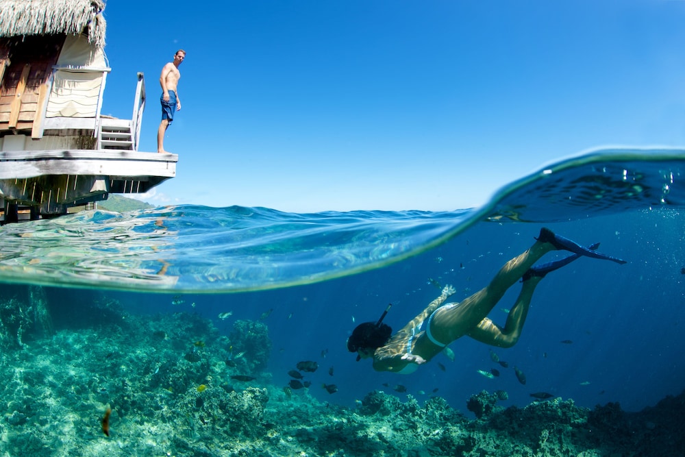 Premium Overwater Bungalow - Photo 5