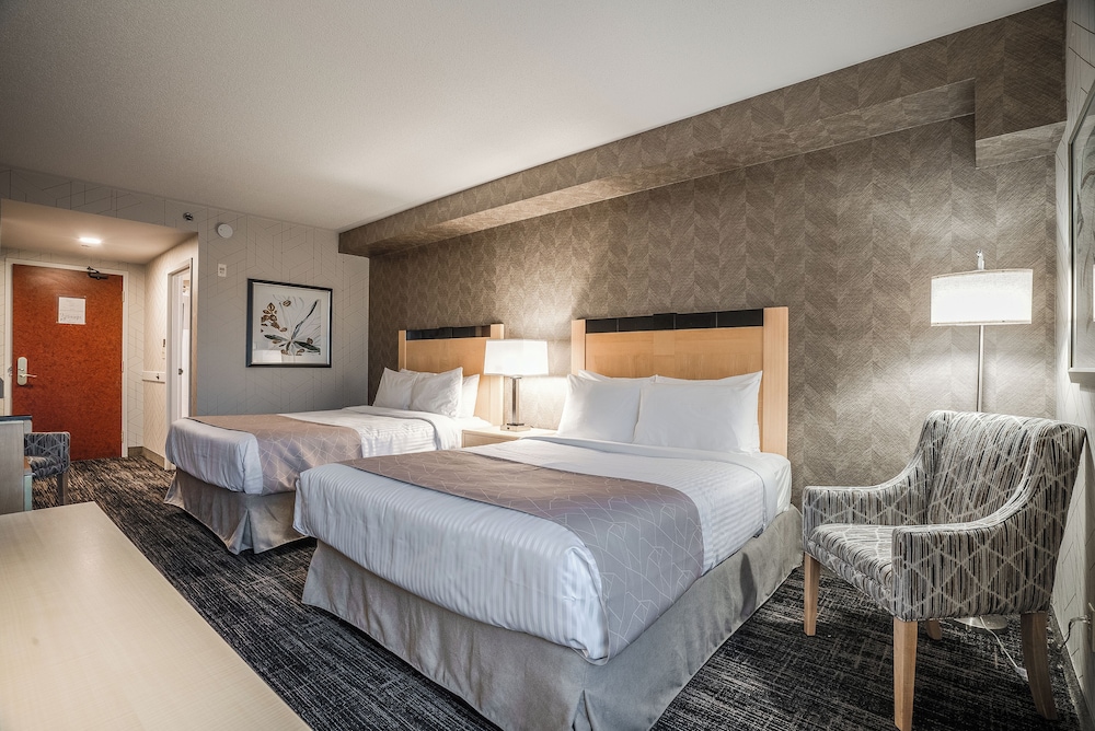 Standard Room with 2 queen beds photo 1