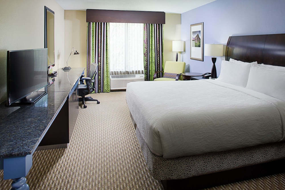 Room, 1 King Bed, Accessible (Roll-In Shower) photo 1