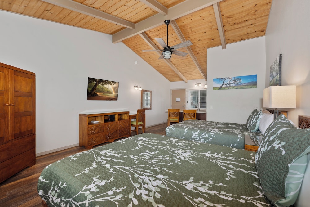 Deluxe Room, Kitchenette - Photo 5