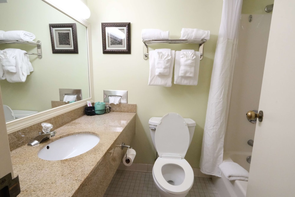 Premium Room, 1 King Bed - Photo 7