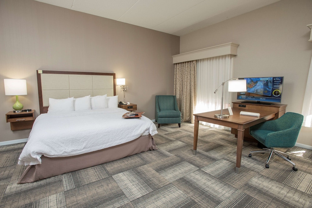Room, 1 King Bed, Accessible - Photo 4