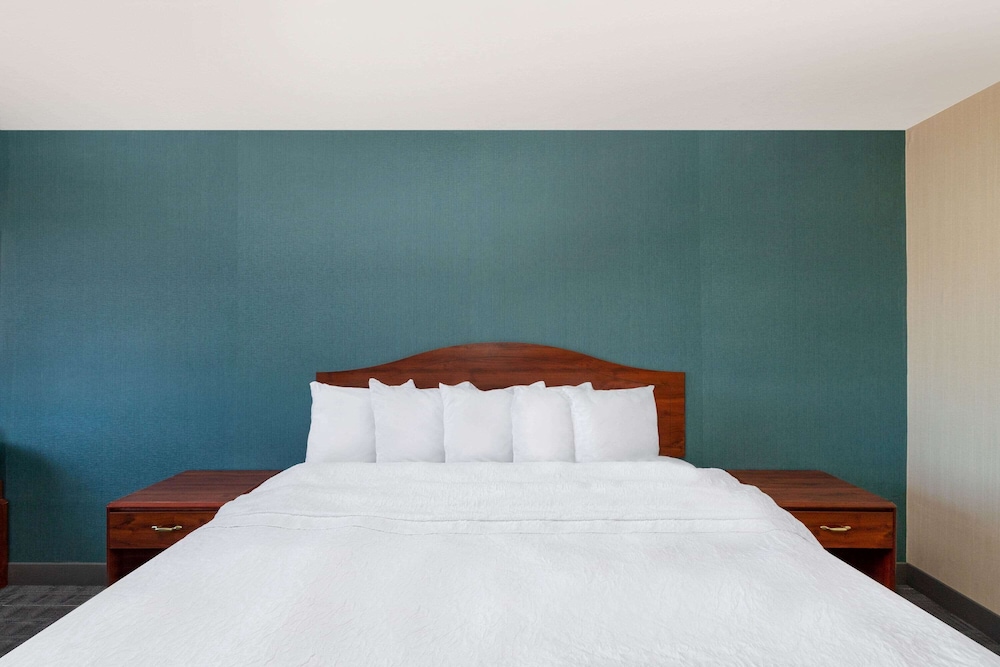 Room, 1 King Bed, Non Smoking - Photo 6