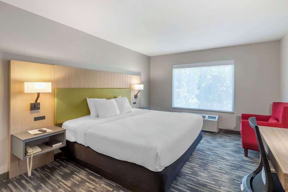 Studio Suite, 1 King Bed, Non Smoking - Photo 5
