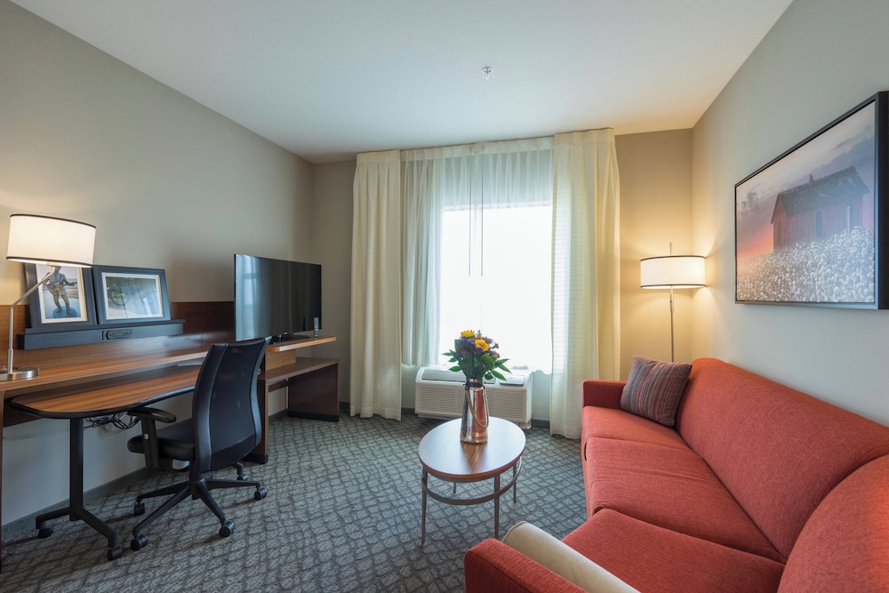 Suite, 1 King Bed with Sofa bed