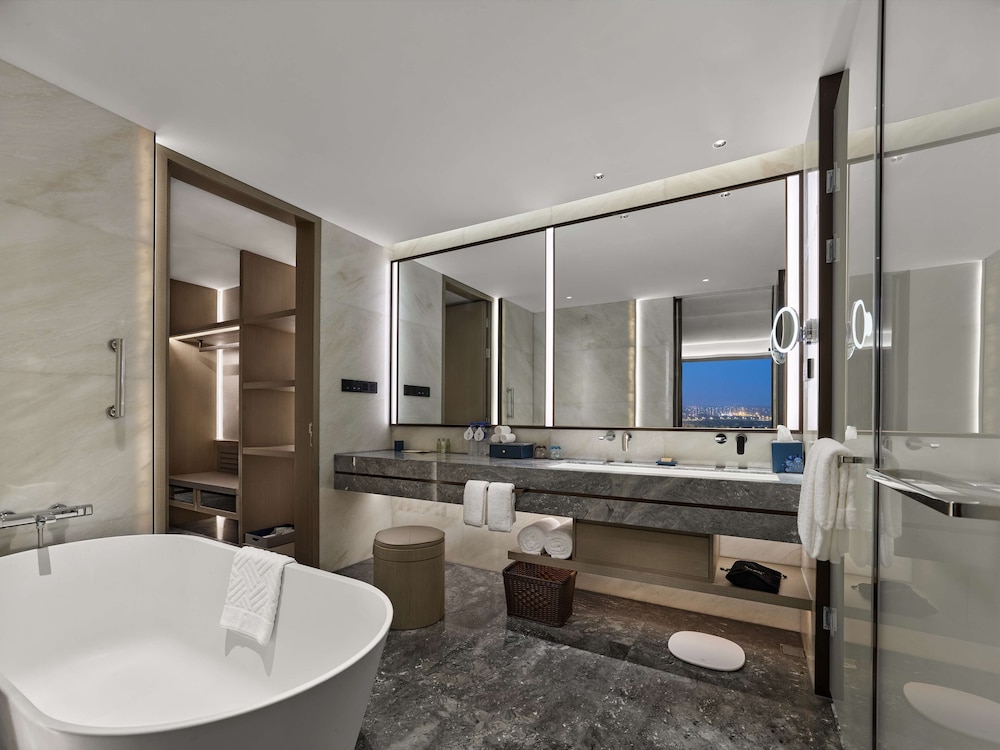 Deluxe Suite, 1 King Bed photo 2