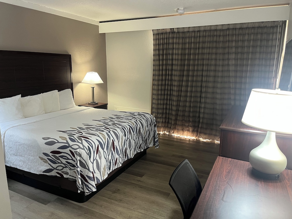 Deluxe Room, 1 King Bed, Non Smoking photo 1