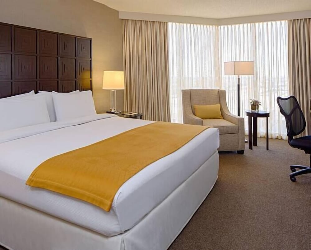 One King Bed - Photo 2