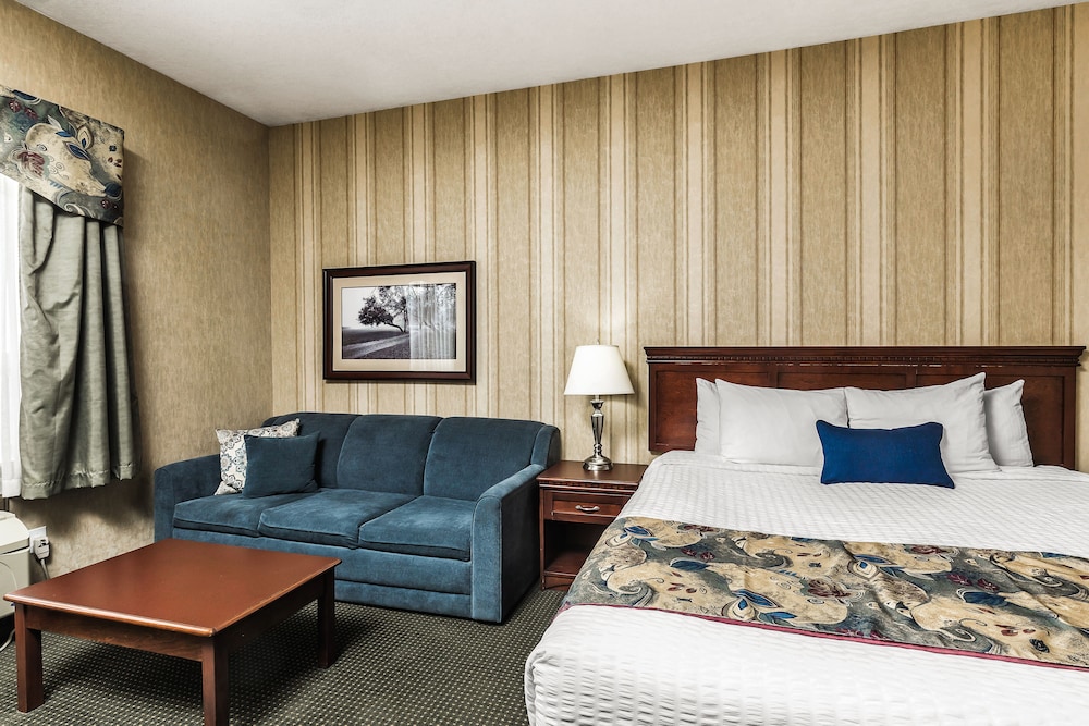 Standard Room, 1 King Bed photo 1