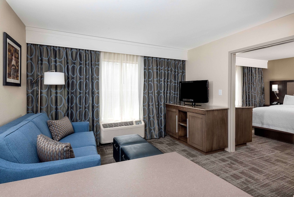 Suite, 1 King Bed photo 1