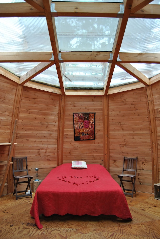 Tree House photo 1