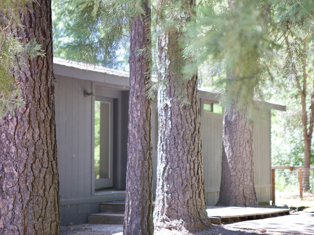 Konocti Lodge photo 1