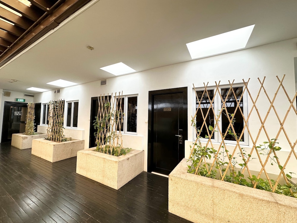 Terrace Queen Room photo 3