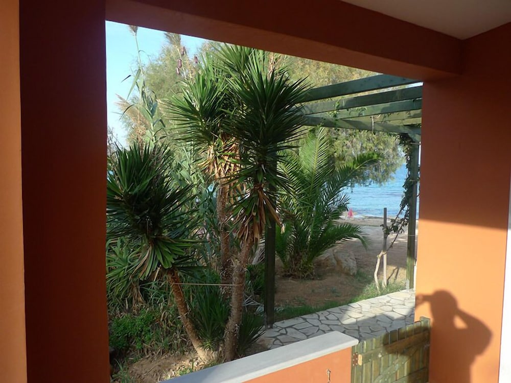 Villa photo 3