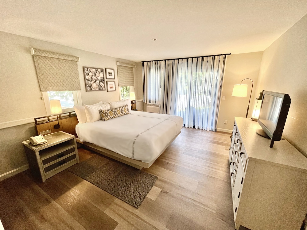 Room, 1 King Bed