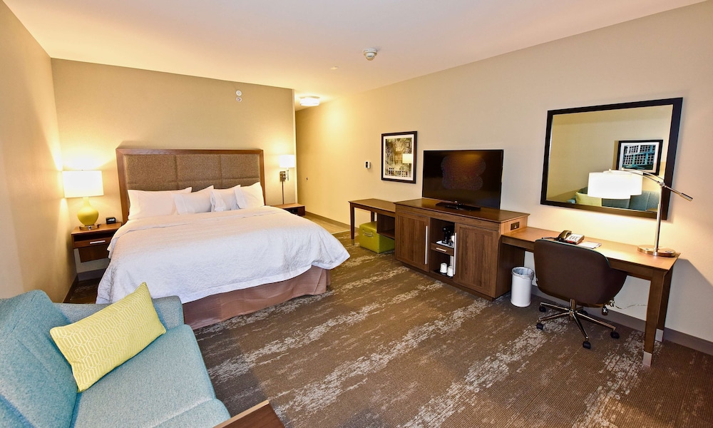 Room, 1 King Bed with Sofa bed, Refrigerator & Microwave photo 3
