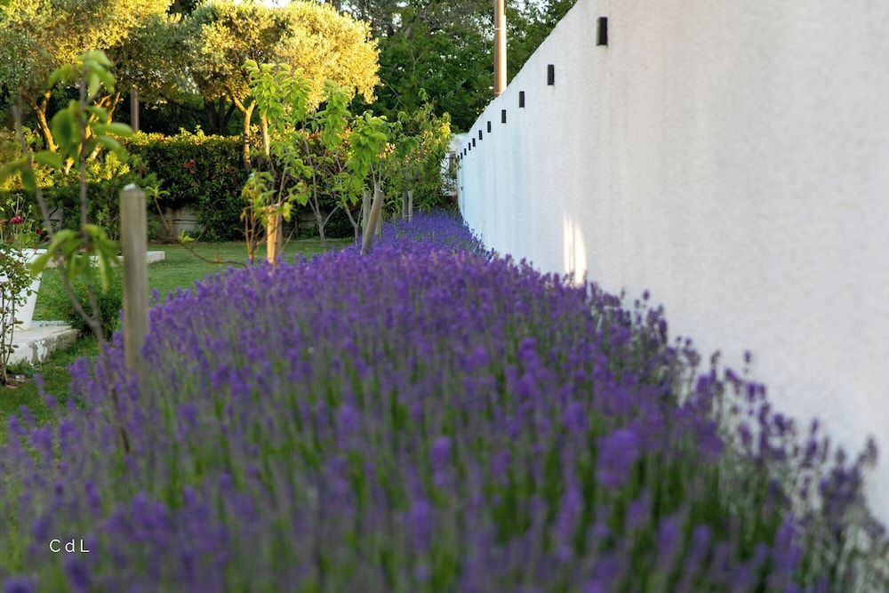 Design Double Room, 1 Queen Bed, Terrace, Garden Area - Photo 14