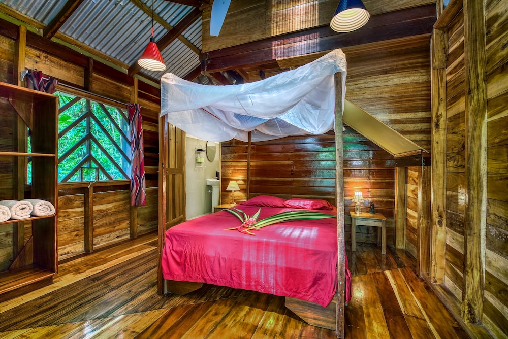 Sweet Dream House